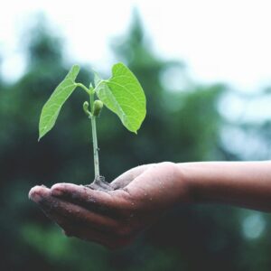 August 27, 2026: Patience and Growth Meditation